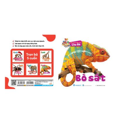 Bách Khoa Toàn Thư Cho Bé - Động Vật Nuôi (Bộ 5C) - Vanlangbooks