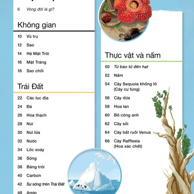 Vòng Đời - Life Cycles