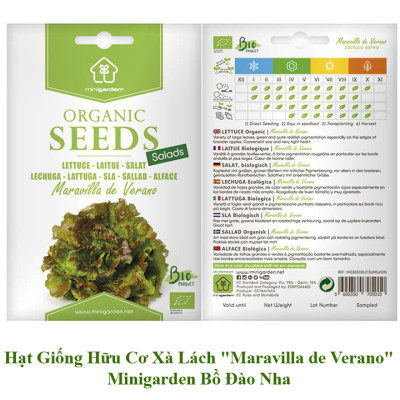 Set 6 Hạt Giống Hữu Cơ Xà Lách Nhập Khẩu Bồ Đào Nha 100% Ogranic, hiệu Minigarden Lettuce - Maravilla De Verano (Túi từ 1.500 - 2.100 hạt) Tỷ lệ nảy mầm cao
