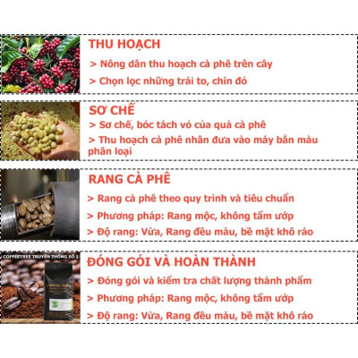 Cà Phê Hạt CuLi Buôn Mê Thuột Nguyên Chất 100% - CoffeeTree - 1Kg - Hương Thơm Nhẹ, Vị Đắng Đậm, Hậu Vị Ngọt