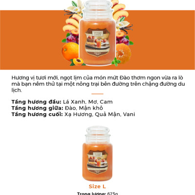 Nến hũ Yankee Candle size L - Farm Fresh Peach (623g)