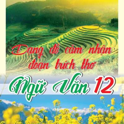 Dạng Đề Cảm Nhận Đoạn Trích Văn Xuôi + Thơ Ngữ văn 12