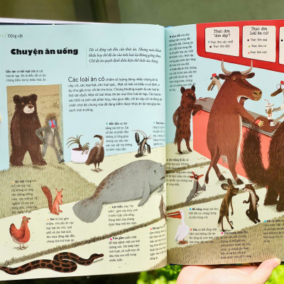 Bách Khoa Thư Thế Hệ Mới