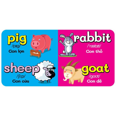Sách - Bộ 18 Cuốn Từ Điển Bằng Hình Đầu Tiên Của Bé Từ 0-6 Tuổi - Song Ngữ Anh Việt - Việt Thư