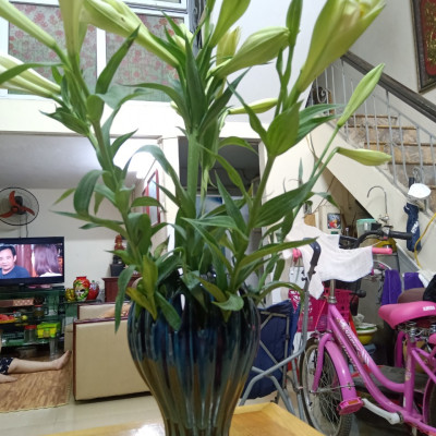 Lọ cắm hoa dáng bàn tay phật men hỏa biến