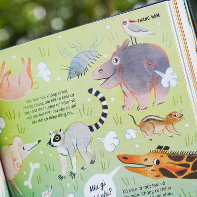 Sách - Everything Under The Sun - 366 câu hỏi lý thú của trẻ - Đinh Tị Books