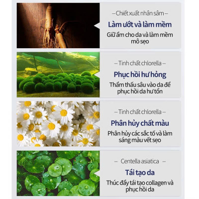 Kem Bôi Xóa Mờ Sẹo Lồi, Sẹo Lõm Lâu Năm, Rạn Da Sau Sinh, Vết Thâm Mụn – Cải Thiện Hiệu Quả Giúp Da Láng Mịn Tự Nhiên