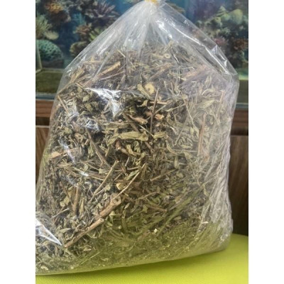 cây rau mương đóng túi 1kg