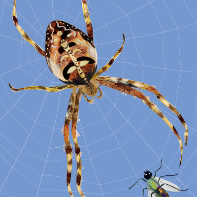 Bách Khoa Thư Britannica Dành Cho Trẻ Em - Cuốn Sách Khổng Lồ Giải Đáp 100++ Câu Hỏi Tại Sao Hóc Búa