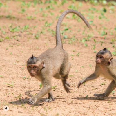 Song Ngữ Việt Anh - Khám Phá Thế Giới - Ở Vùng Đất Khô Cằn - In A Dry Land
