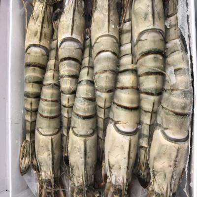 Tôm sú nguyên con sinh thái Seaprodex kích cỡ 8 con/hộp, 500gr