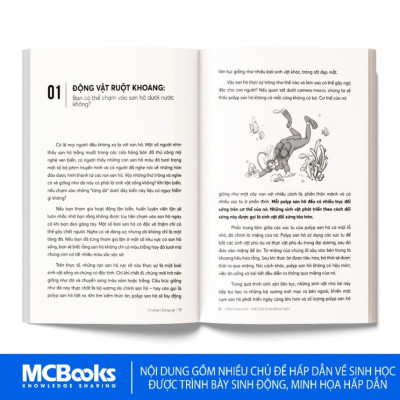 Sách - STEM Dành Cho Học Sinh - Phát Triển Tư Duy Logic, Khám Phá Khoa Học