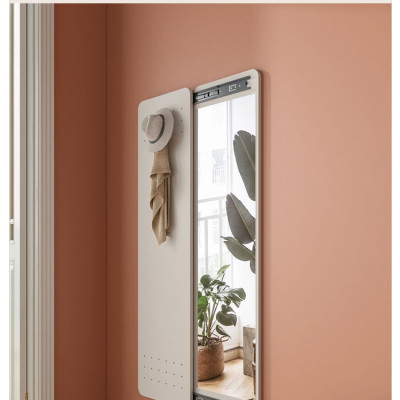 Gương toàn thân treo tường đa năng có móc để đồ tiện dụng tiết kiệm không gian thương hiệu IGA - GP263