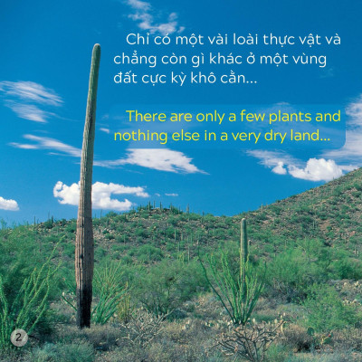 Song Ngữ Việt Anh - Khám Phá Thế Giới - Ở Vùng Đất Khô Cằn - In A Dry Land
