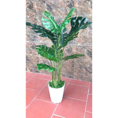 Cây lá rùa xẻ giả - Size 130cm - 3 nhánh - Cây giả, hoa lụa Decor trang trí nhà cửa