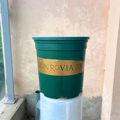 Chậu nhựa trồng cây đã kèm xốp cắm cây giả - Cao từ 12cm đến 40cm - Cây giả, hoa lụa Decor trang trí nhà cửa