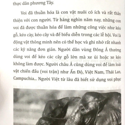 Tri Thức Bách Khoa - Các Loài Voi - Hổ - Sư Tử - Gấu