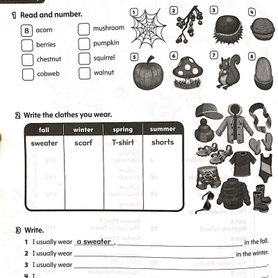 Starlight: Level 4: Workbook