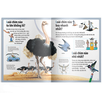 Em Muốn Biết Vì Sao Ngỗng Trời Bay Xa Và Những Câu Hỏi Khác Về Chim 
Chóc