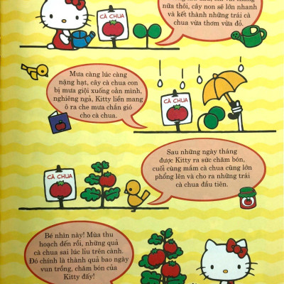 Hello Kitty - Bộ Sưu Tập 1000 Đề Can - Bốn Mùa Yêu Thương