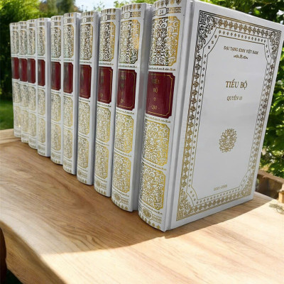 Sách Đại Tạng Kinh - Kinh tạng Nikàya Pàli (Tiểu bộ kinh 10 cuốn - Bản bìa cứng in nhũ)