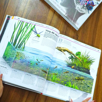 Trạm Đọc | Tri Thức Về Vạn Vật - Một Thế Giới Trực Quan Chưa Từng Thấy