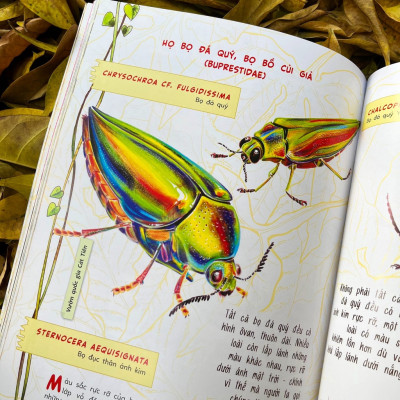 Sách - Bộ Sinh vật học kỳ thú - Những cư dân tí hon của rừng Việt Nam (Trọn bộ 02 cuốn) - Nhã Nam Official