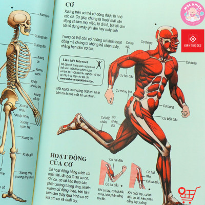 Sách thiếu nhi - Bách khoa tri thức dành cho trẻ em (Usbone) - Tái bản 2022 - Đinh Tị Books