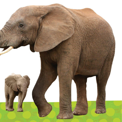 Sách To Ôm Sách Nhỏ - Động Vật Ở Trong Rừng (Dành Cho Trẻ Từ 0-6 Tuổi)