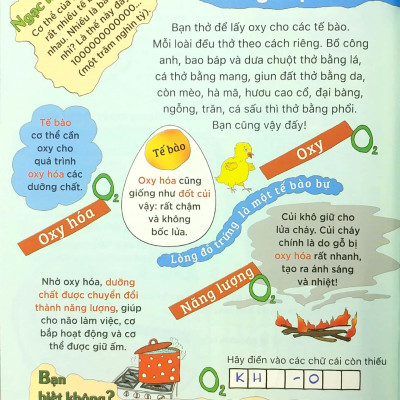 Tại Sao? Sao Tim Đập Và Dạ Dày Réo?