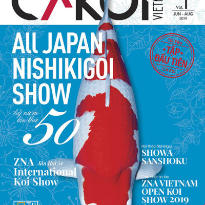 Cá Koi Vietnam - Combo 3 cuốn (Tập 1, 2, 3)