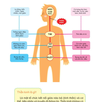 Bách Khoa Tri Thức Bách Hình về sức khỏe cho học sinh -  Một tâm hồn đẹp, một trái tim đầy (Thấu hiểu bản thân, rộng lòng thương yêu)