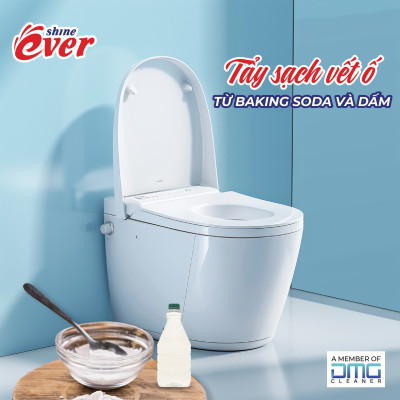 Viên Treo Bồn Cầu Evershine 54GR Hương Chanh