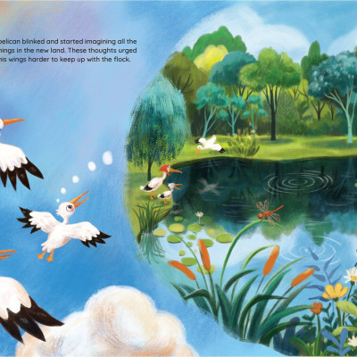 The Loving Little Pelican