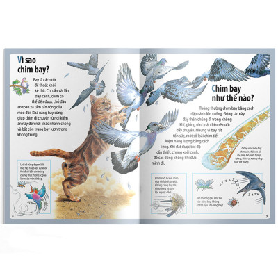 Em Muốn Biết Vì Sao Ngỗng Trời Bay Xa Và Những Câu Hỏi Khác Về Chim 
Chóc