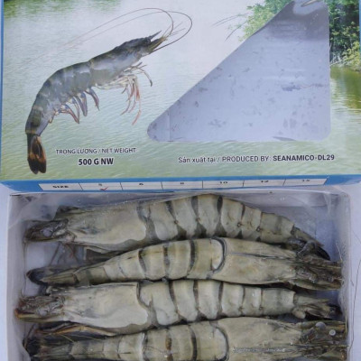 Tôm sú nguyên con sinh thái Seaprodex kích cỡ 5 con/hộp , 500gr