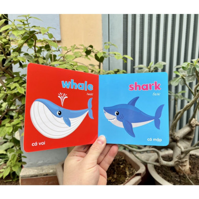 Sách - Bộ Bìa Cứng Thư Viện Hình Ảnh Đầu Tiên Cho Bé Về Thế Giới Xung Quanh Baby