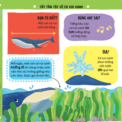 Sách - Lift-The-Flap - Lật Mở Khám Phá - Những Kiến Thức Đầu Đời - Những Loài Vật Đáng Kinh Ngạc