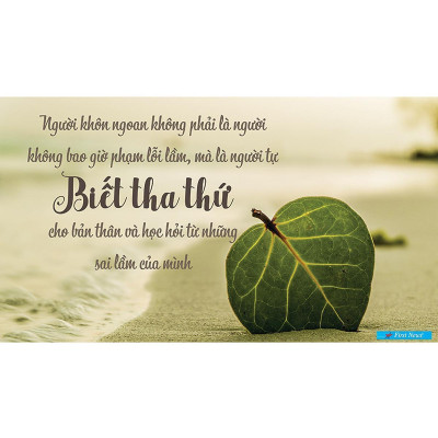 Sách - Tâm Từ - Mindfulness - First News