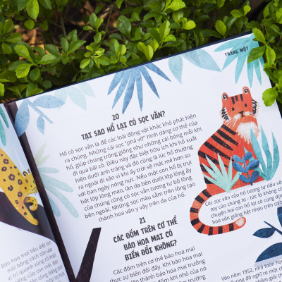 Sách - Everything Under The Sun - 366 câu hỏi lý thú của trẻ - Đinh Tị Books