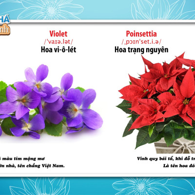 Song Ngữ Anh - Việt CBKPTGXQ - Hoa