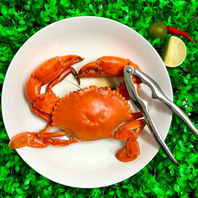 Dụng Cụ Kẹp Càng Cua Ghẹ, Tách Vỏ Hạt Cứng - Inox Cao Cấp. Dụng Cụ Kềm Kìm Kẹp Càng Cua Ghẹ Phù Hợp Cho Mọi Gia Đình, Nhà Hàng, Quán Ăn - Loại Tốt