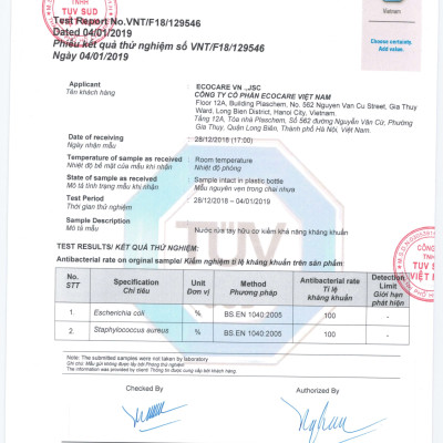 Nước rửa tay Hữu cơ diệt khuẩn dạng bọt Tinh dầu Thiên nhiên Cam/Quế/Nhài 1L thương hiệu ECOCARE ( tặng kèm vỏ tạo bọt)