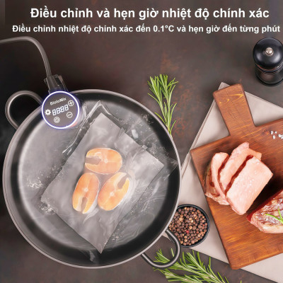 Máy nấu chậm Sous vide dùng cho gia đình thương hiệu Mỹ cao cấp BioloMix SV-9002 - Hàng nhập khẩu