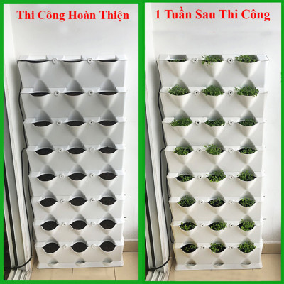 1m2 Module Trồng Cây Đứng Chung Cư Minigarden Vetical (8 Sets Module xếp chồng lên nhau), kèm Hệ Thống Tưới Nhỏ Giọt và tự bón phân bán tự động giúp cây trên tường đứng sống tốt, phát triển bền vững