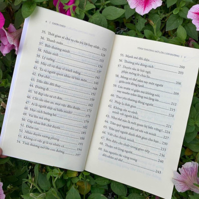 Sách - Tình Thương Mở Lớn Con Đường - Vĩnh Nghiêm Books