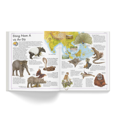 Combo 2 cuốn: Atlas động vật + Atlas các loài chim