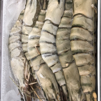 Tôm sú nguyên con sinh thái Seaprodex kích cỡ 6 con/hộp, 500gr