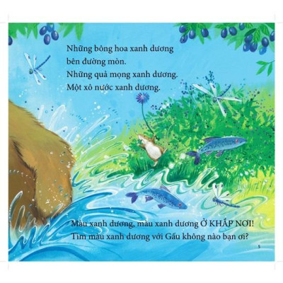 Cùng gấu khám phá -The Bear Books - Gấu nhận biết màu sắc - Bear see colors