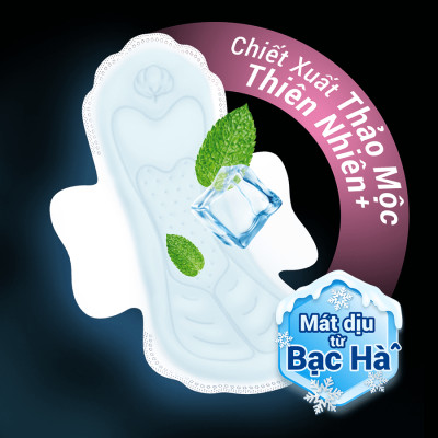 Combo 4 gói BVS Molped Icycool Có cánh gói lớn 20 miếng tiết kiệm giá tốt